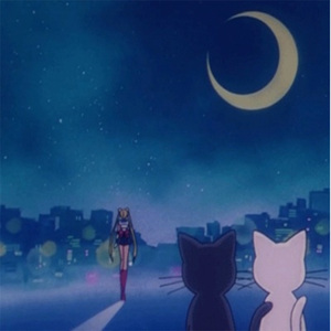 小鲜肉操老女人
