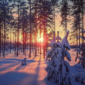 小鲜肉操老女人
